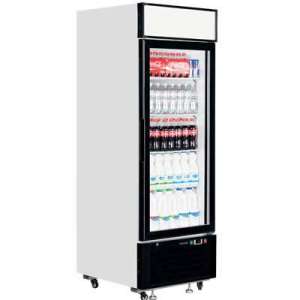 Expositor refrigerado de 1 puerta
